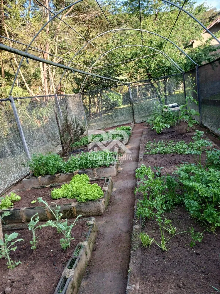 Sítio, 8 quartos, 5 hectares - Foto 3