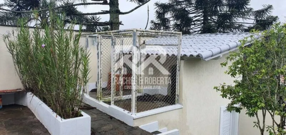 Casa, 4 quartos, 416 m² - Foto 16