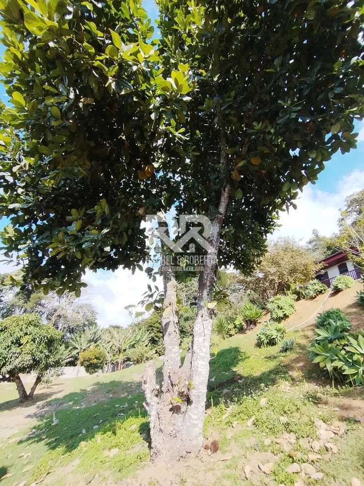 Casa, 5 quartos, 733 m² - Foto 53