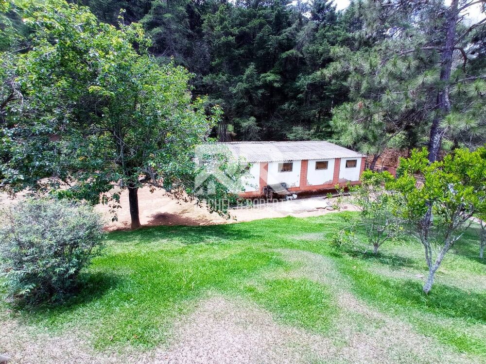 Fazenda à venda com 2 quartos, 71000m² - Foto 3