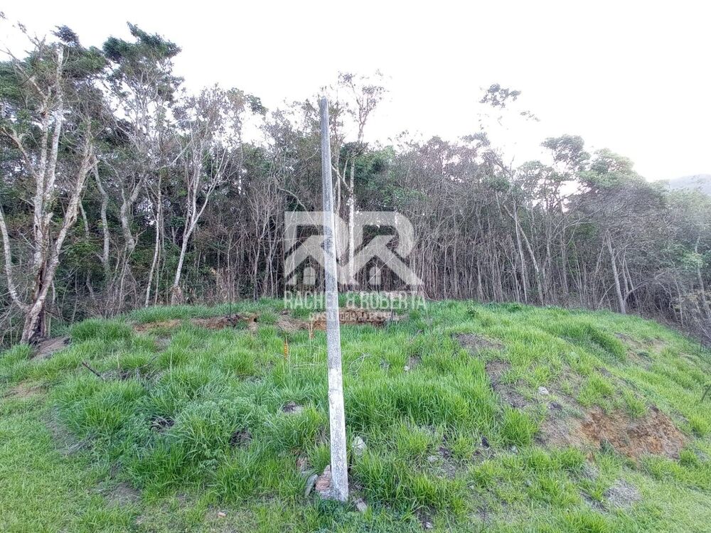 Terreno, 5791 m² - Foto 3