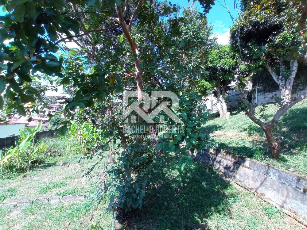Casa, 4 quartos, 300 m² - Foto 21