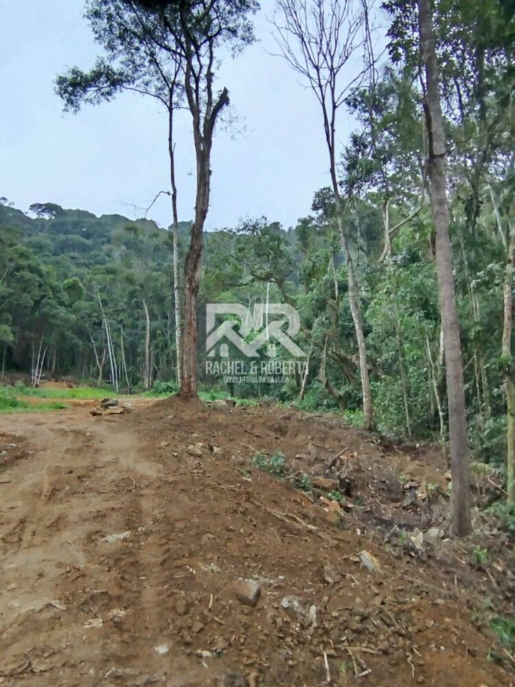 Terreno, 16 hectares - Foto 7