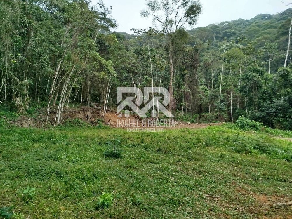 Terreno, 16 hectares - Foto 3
