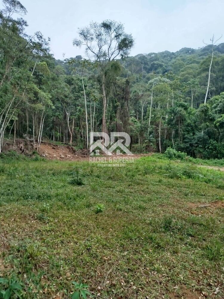 Terreno, 16 hectares - Foto 4