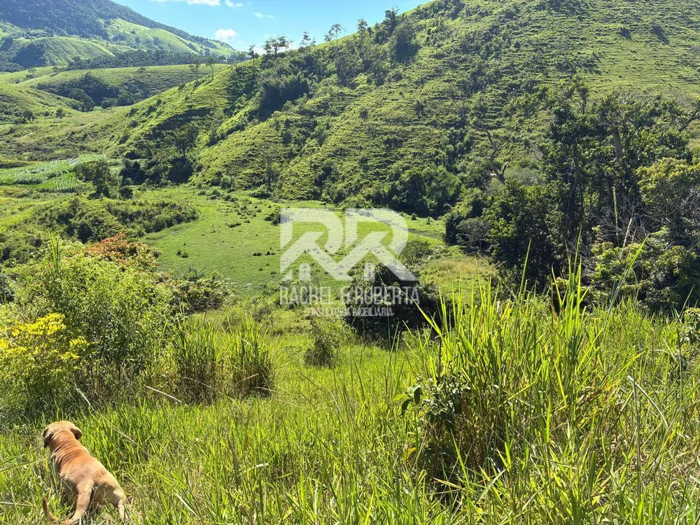 Sítio, 6 quartos, 5 hectares - Foto 48