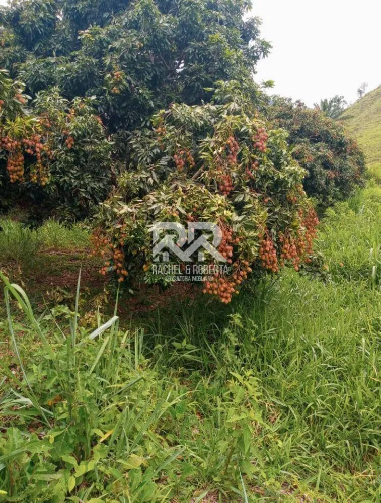 Sítio, 6 quartos, 5 hectares - Foto 46