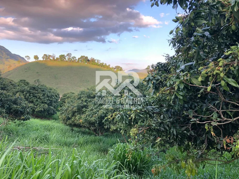 Sítio, 6 quartos, 5 hectares - Foto 39