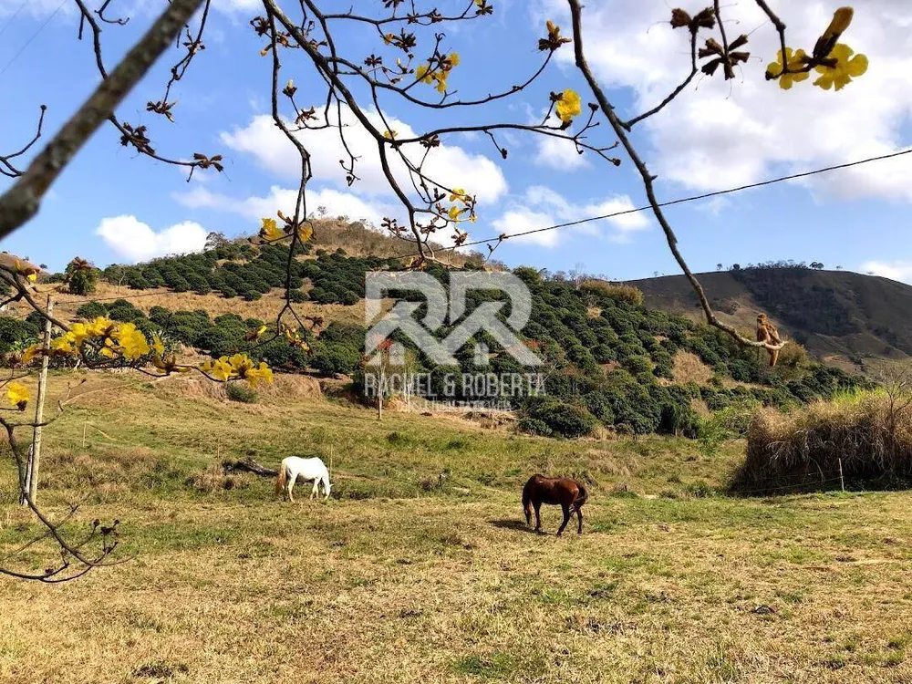 Sítio, 6 quartos, 5 hectares - Foto 7