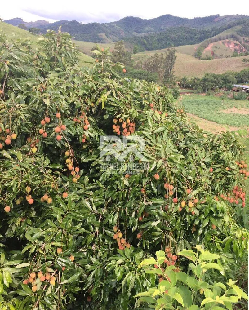 Sítio, 6 quartos, 5 hectares - Foto 34