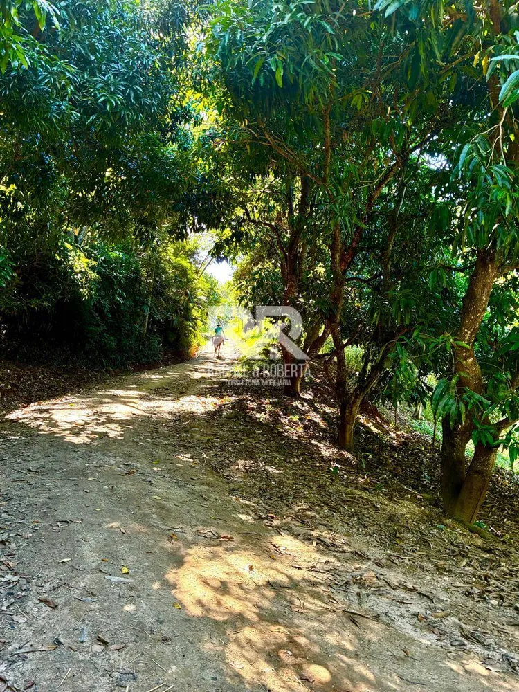 Sítio, 6 quartos, 5 hectares - Foto 62