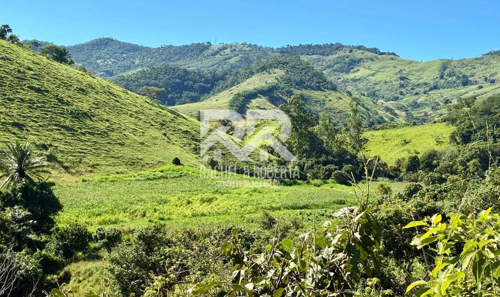 Sítio, 6 quartos, 5 hectares - Foto 49