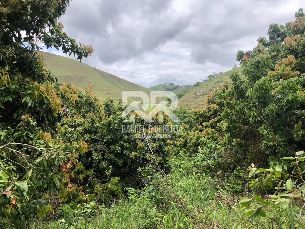 Sítio, 6 quartos, 5 hectares - Foto 35
