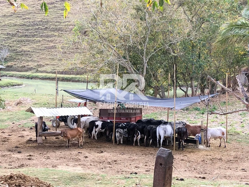 Sítio, 6 quartos, 5 hectares - Foto 30