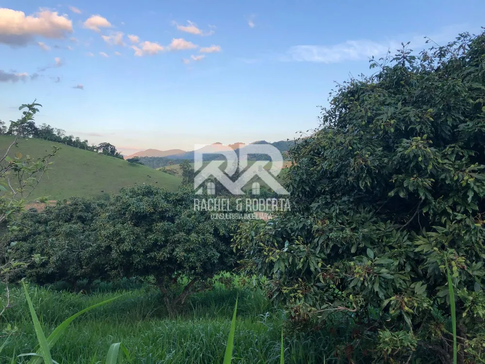 Sítio, 6 quartos, 5 hectares - Foto 38