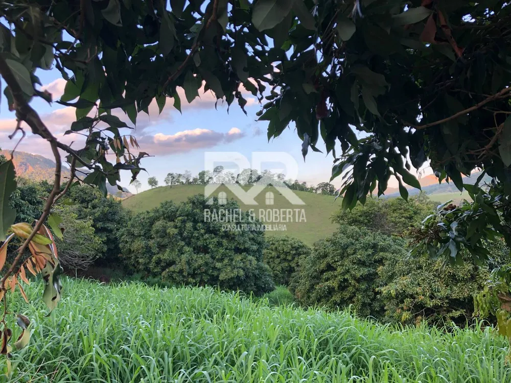 Sítio, 6 quartos, 5 hectares - Foto 40