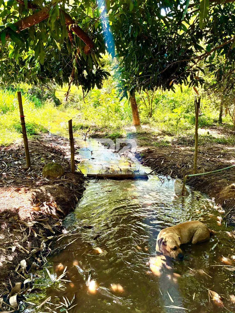 Sítio, 6 quartos, 5 hectares - Foto 66