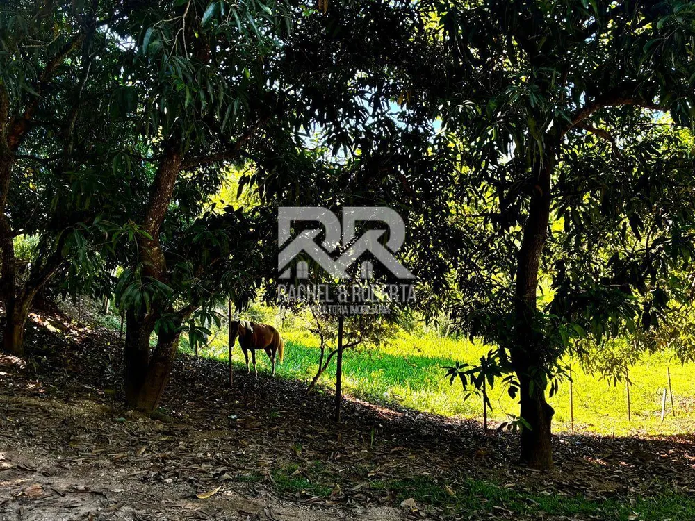 Sítio, 6 quartos, 5 hectares - Foto 65