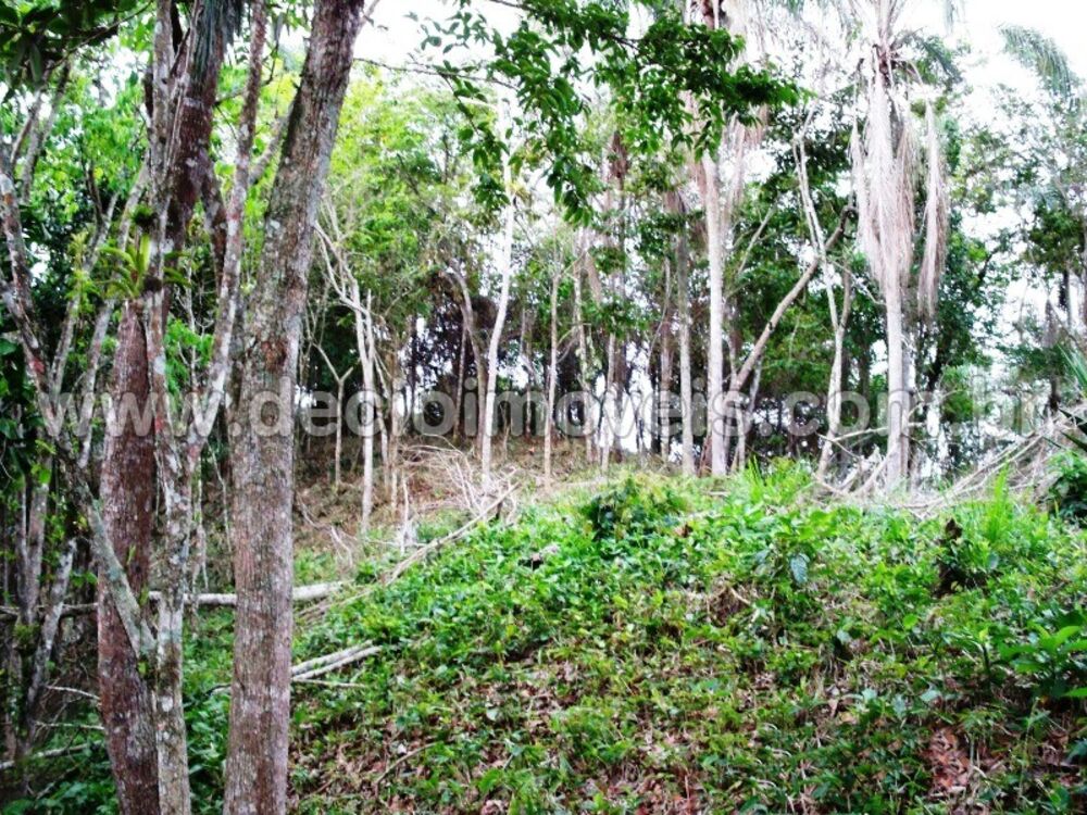 Terreno, 894 m² - Foto 8