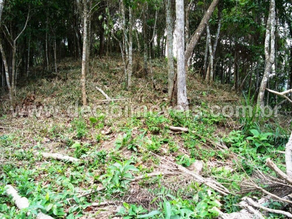 Terreno, 894 m² - Foto 9