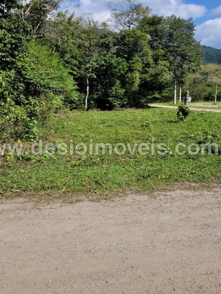 Terreno, 250 m² - Foto 3