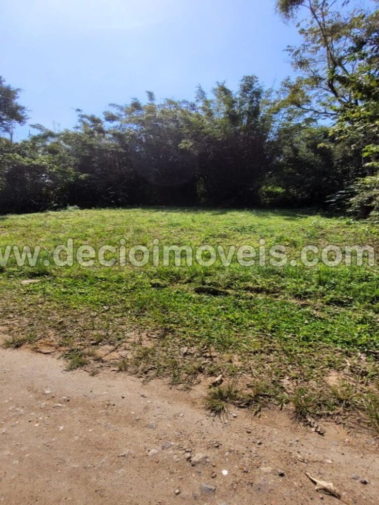 Terreno, 250 m² - Foto 4