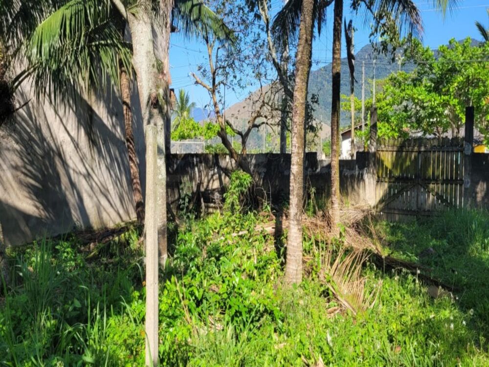 Terreno, 250 m² - Foto 4