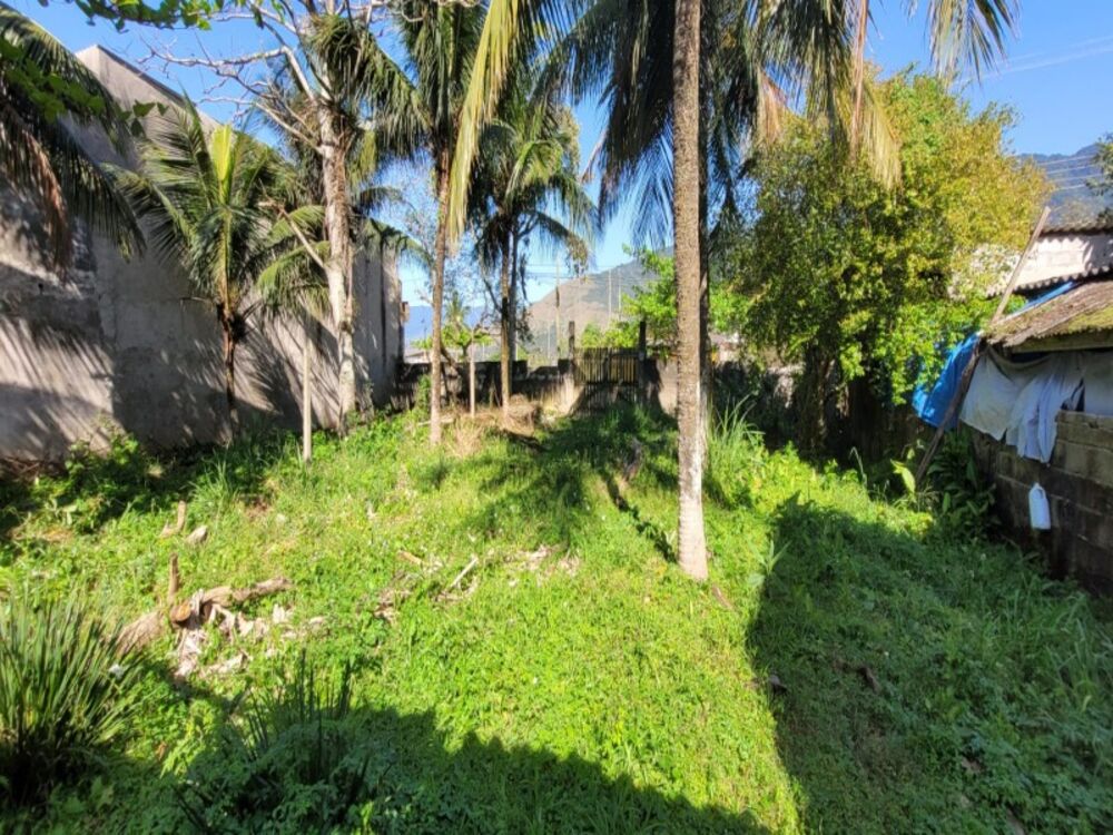 Terreno, 250 m² - Foto 3