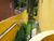 Sobrado, 1 quarto - Foto 3