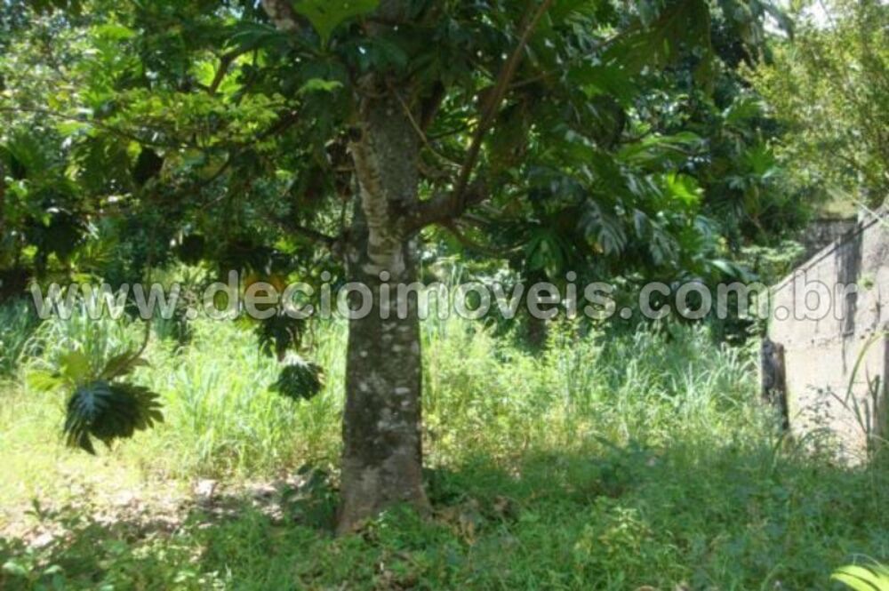 Terreno, 740 m² - Foto 8