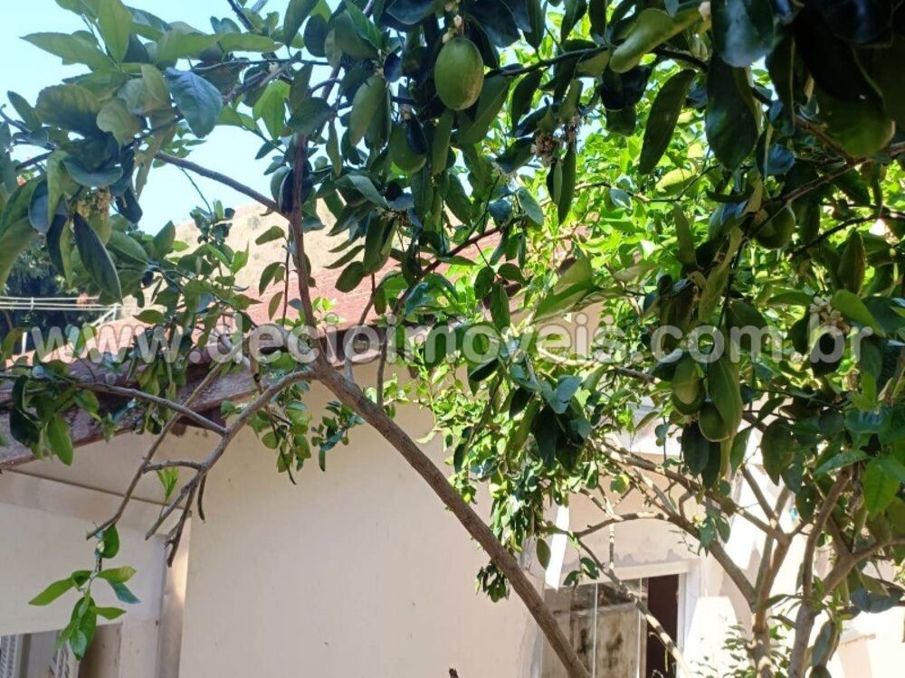 Casa, 5 quartos - Foto 6