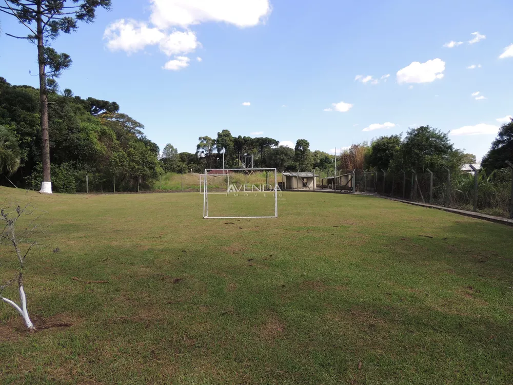 Fazenda à venda com 4 quartos, 1100m² - Foto 4