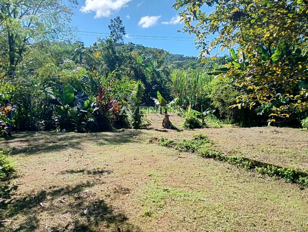 Fazenda à venda com 3 quartos, 2000m² - Foto 3