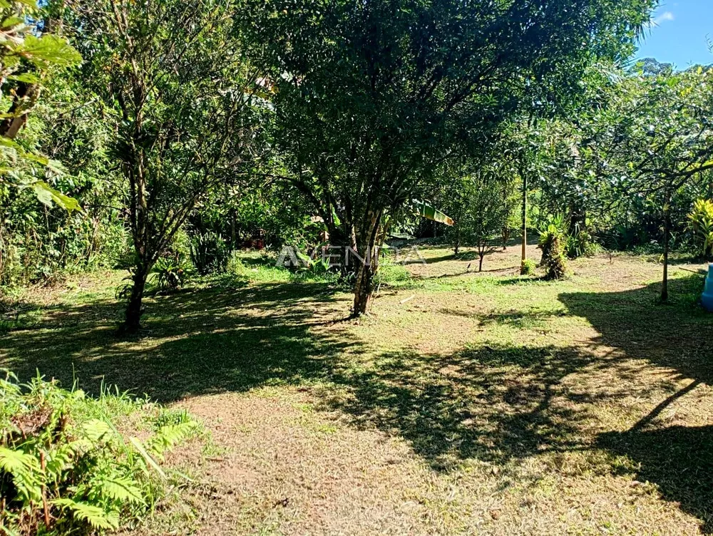 Fazenda à venda com 3 quartos, 2000m² - Foto 2