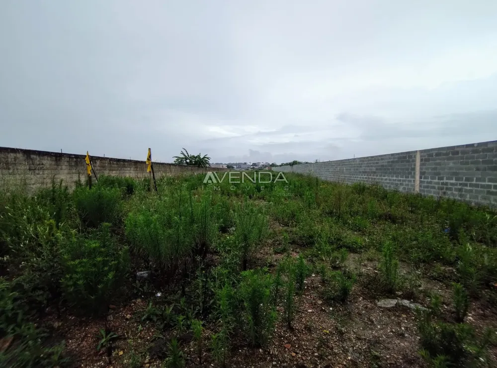 Terreno, 2000 m² - Foto 7