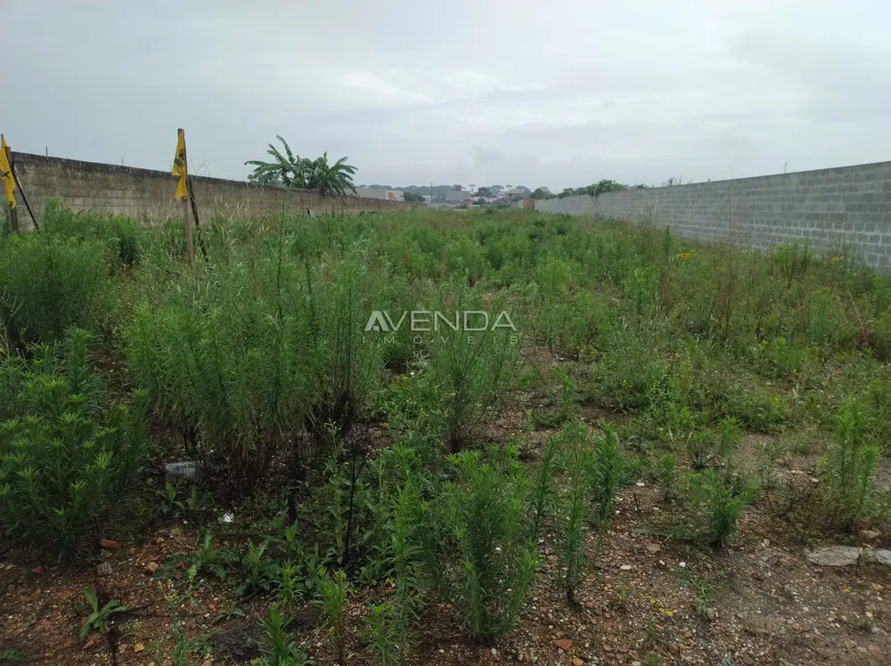 Terreno, 2000 m² - Foto 3