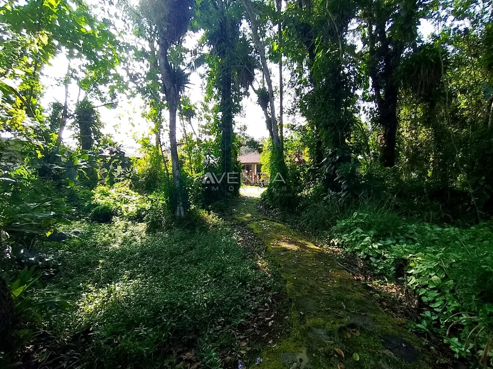 Chácara, 3 quartos, 4982 m² - Foto 15