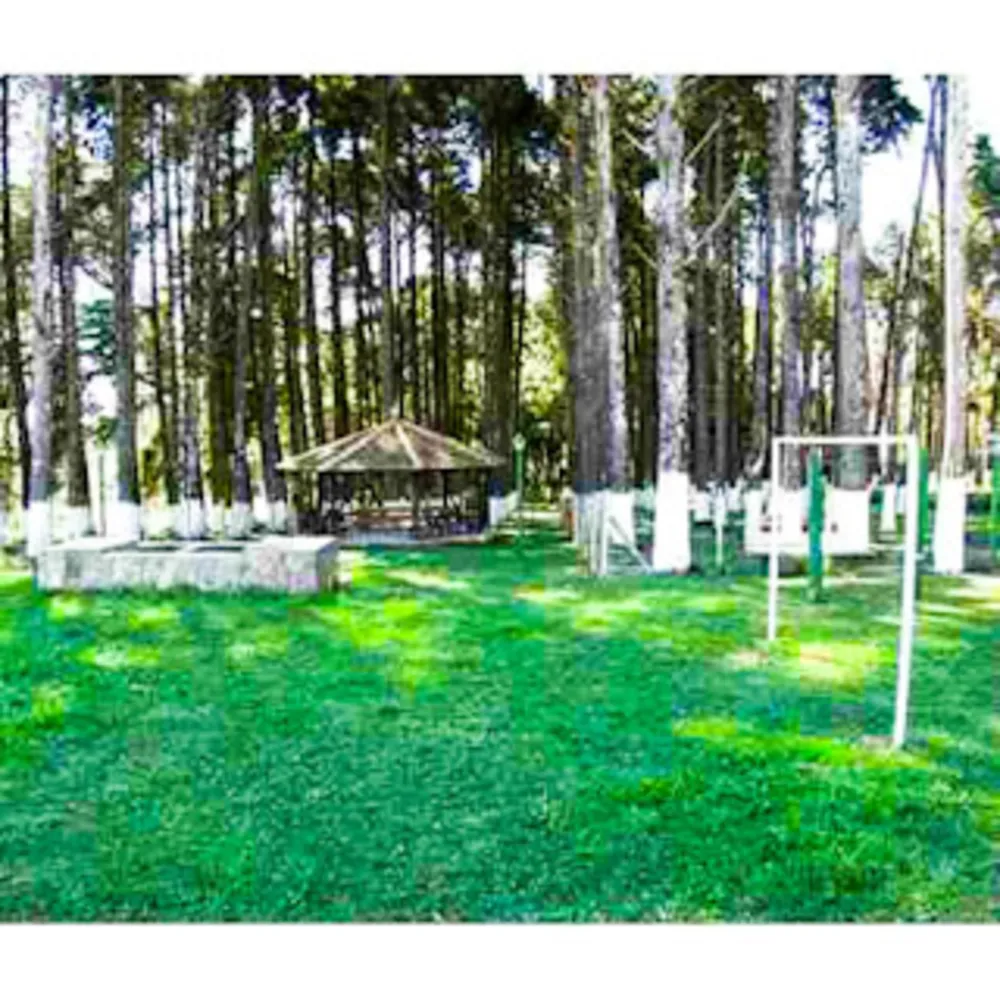 Casa, 6 quartos, 972 m² - Foto 23