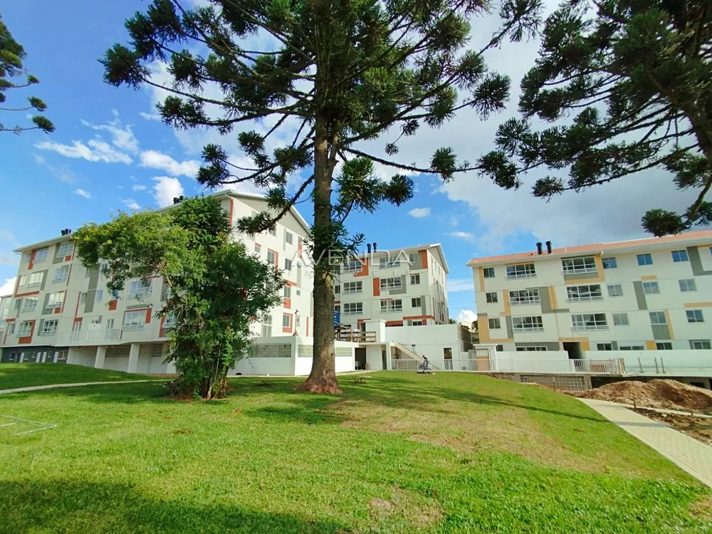 Apartamento, 2 quartos, 39 m² - Foto 3