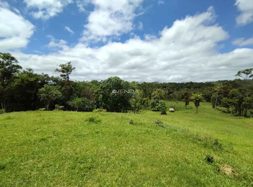 Sítio, 6 quartos, 21 hectares - Foto 3