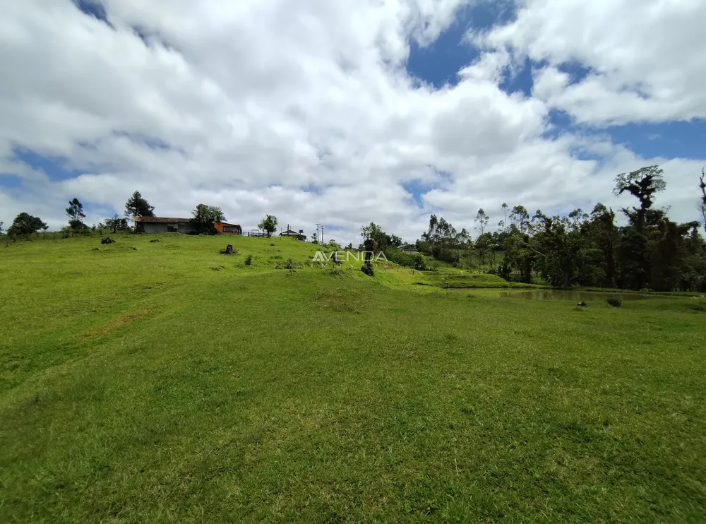 Sítio, 6 quartos, 21 hectares - Foto 2