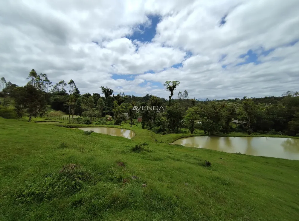 Sítio, 6 quartos, 21 hectares - Foto 4