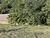 Terreno, 811 m² - Foto 6