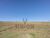 Terreno, 800 m² - Foto 1