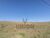 Terreno, 800 m² - Foto 3