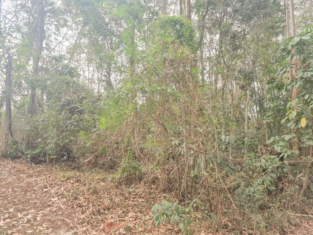 Terreno, 1901 m² - Foto 7