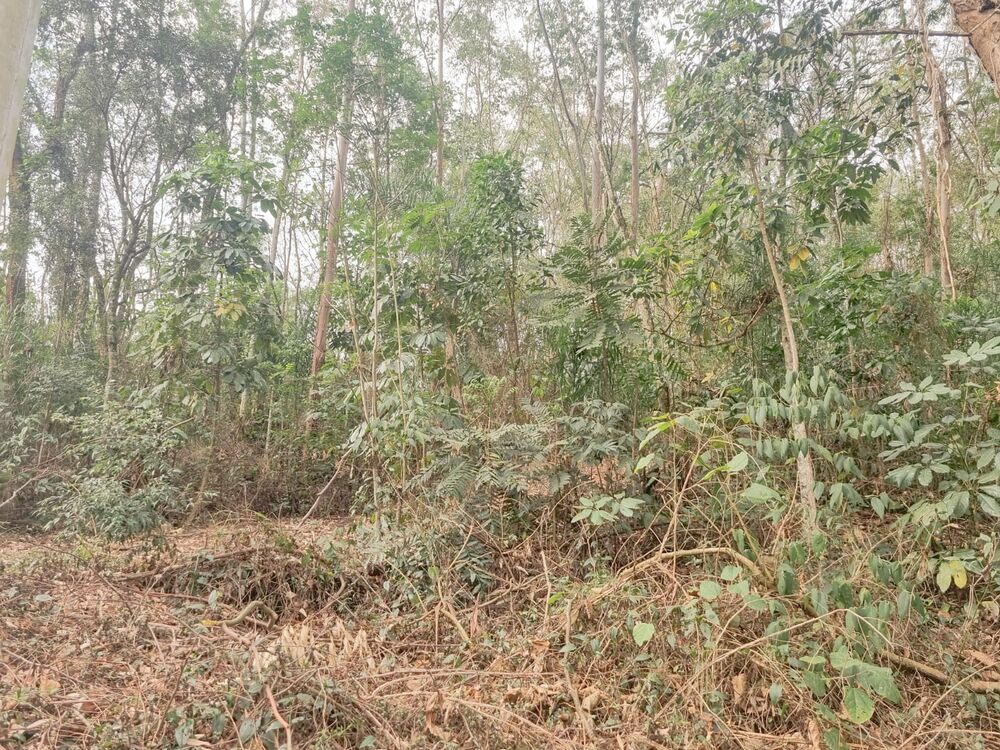 Terreno, 1901 m² - Foto 8