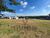 Terreno, 525 m² - Foto 2