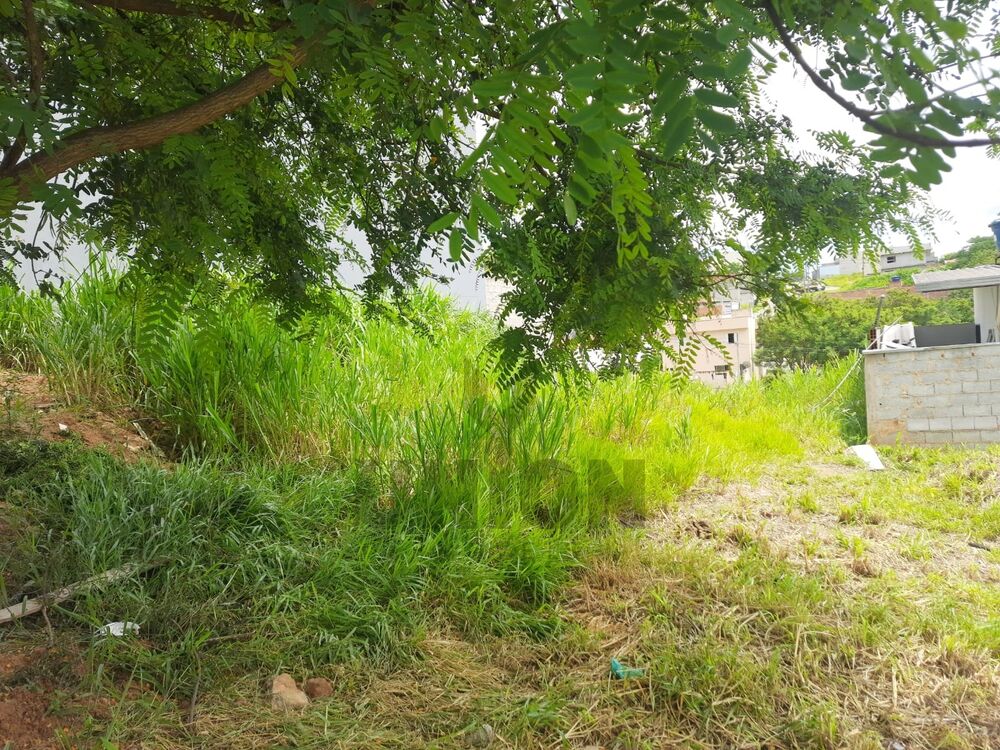Terreno, 250 m² - Foto 1