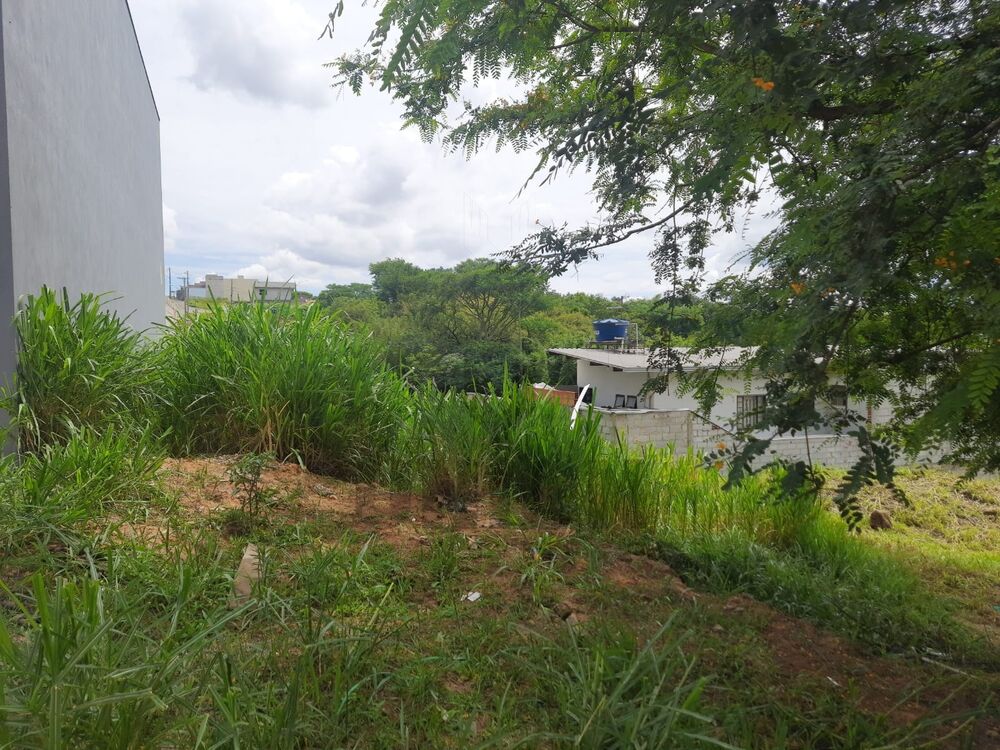 Terreno, 250 m² - Foto 6